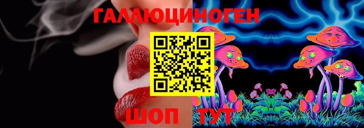 Кимовск  Псилоцибиновые грибы Psilocybine cubensis  Вход с VPN 