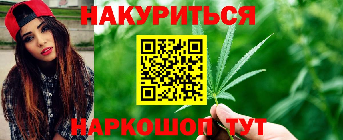 Канабис сатива Кимовск